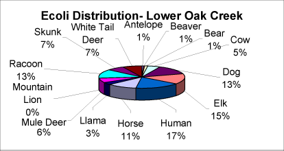 Chart: E. coli distribution - Lower Oak Creek